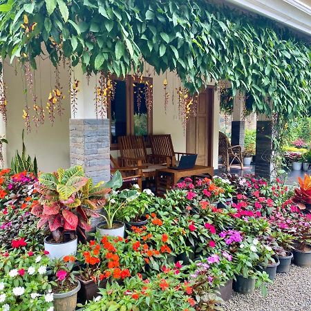Flower Valley Plantation Homestay Munnar Kültér fotó