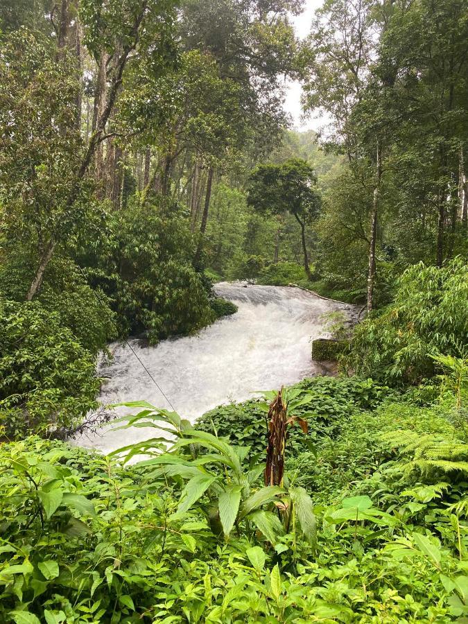 Flower Valley Plantation Homestay Munnar Kültér fotó